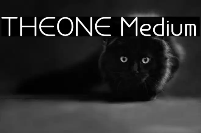 THEONE Medium Font examples