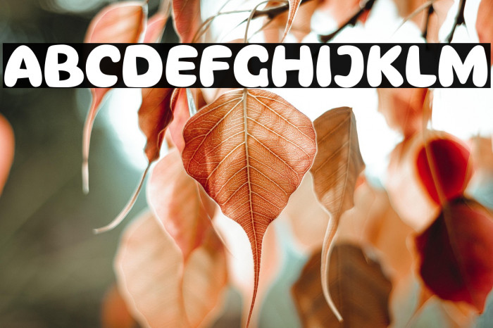 THEREN-Regular Example 2