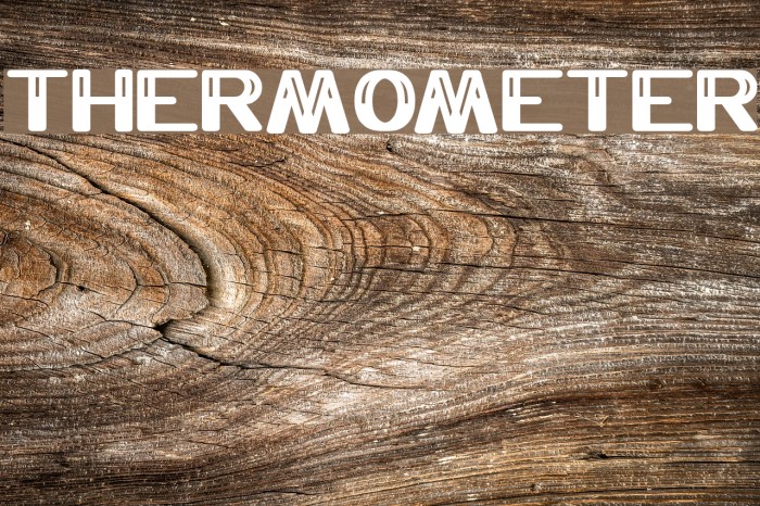 THERMOMETER Font examples