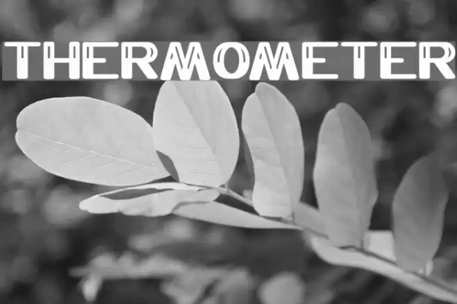 THERMOMETER Font examples