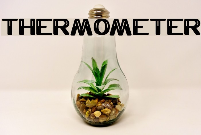 THERMOMETER Font examples