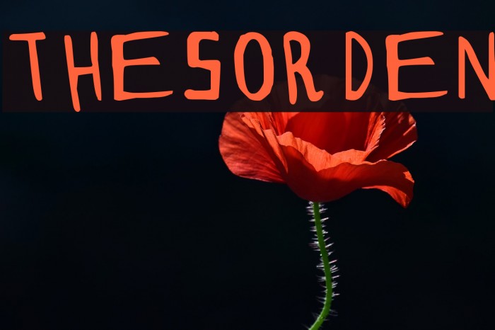 THESORDEN Font examples
