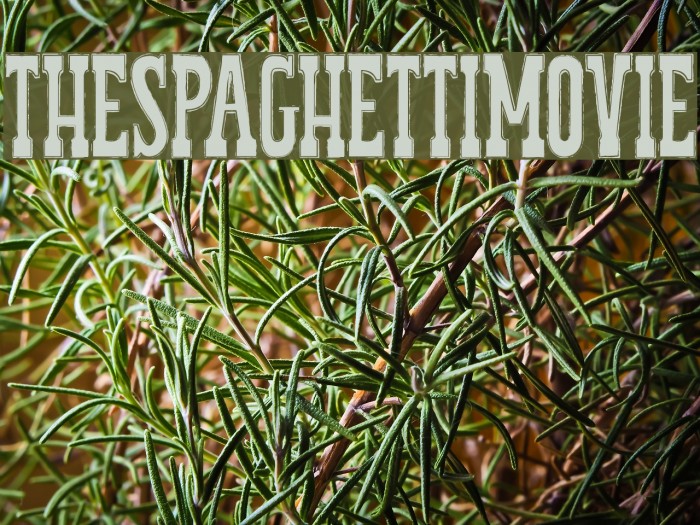 THESPAGHETTIMOVIE Example 1