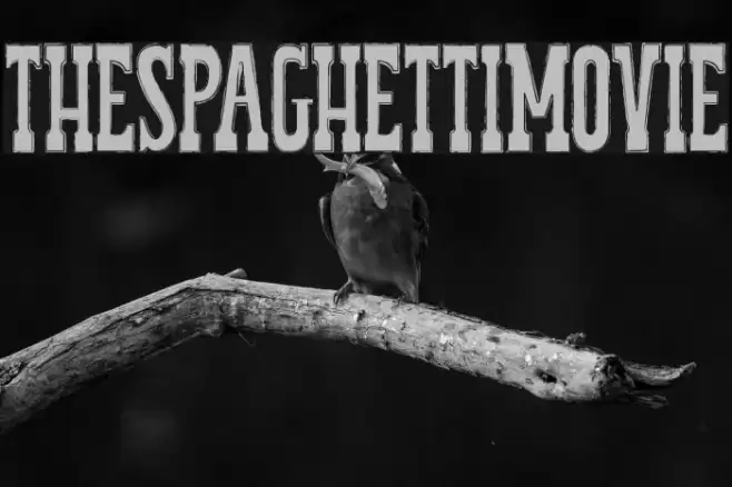 THESPAGHETTIMOVIE Font examples