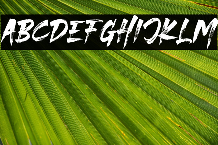 THESTRANGERFONTDUO Example 1