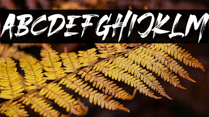 THESTRANGERFONTDUO Example 2