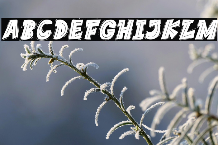 THEYGI Italic Example 2