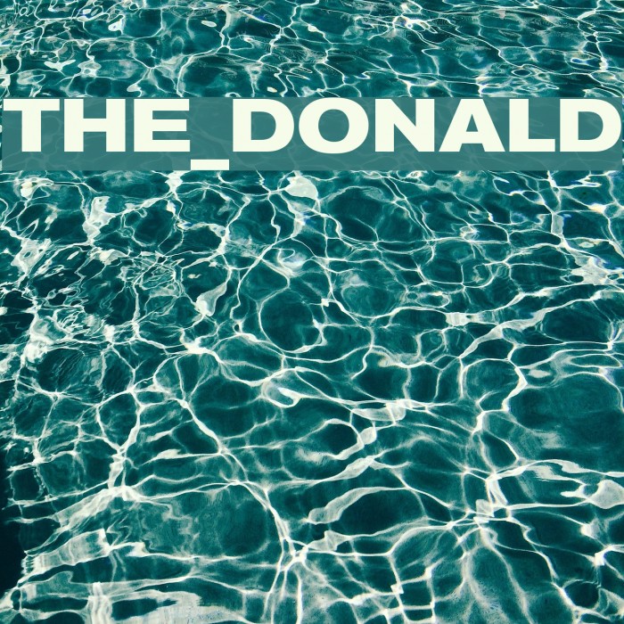 THE_DONALD Font examples