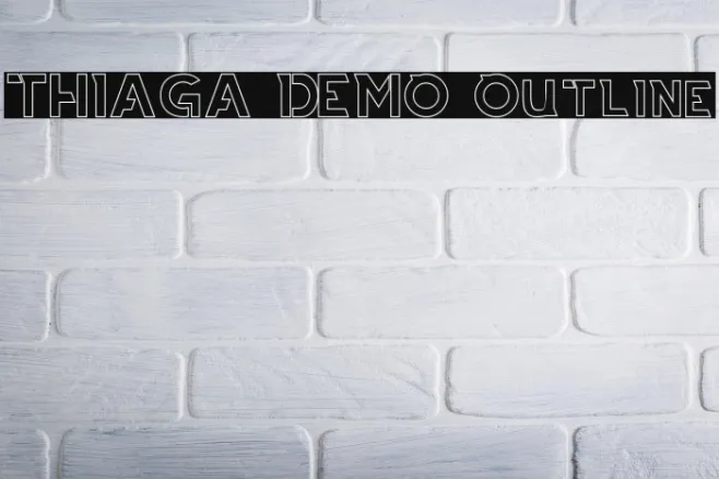 THIAGA DEMO Outline Example 1