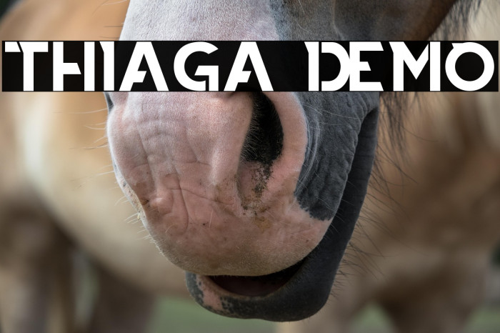 THIAGA DEMO Example 2