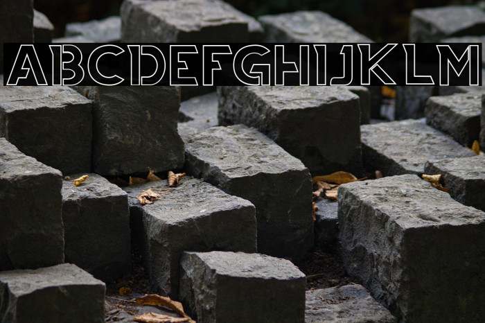 THIAGA Outline Example 2