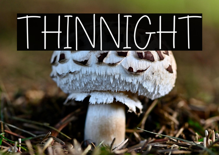 THIN NIGHT Example 1