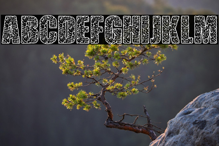 THINK EXTRA PERSONAL USE Bold Example 1