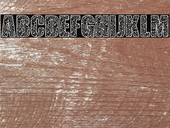 THINK EXTRA PERSONAL USE Bold Example 2