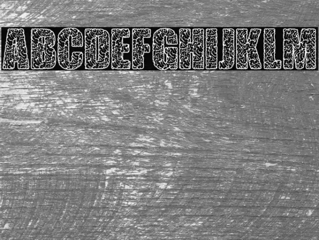 THINK EXTRA PERSONAL USE Bold Font examples