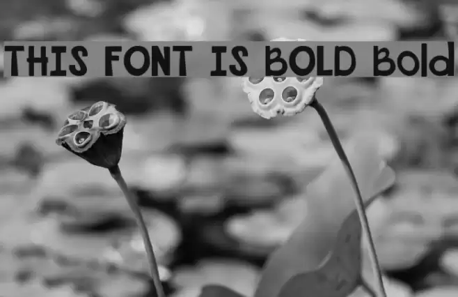 THIS FONT IS BOLD Bold Font examples