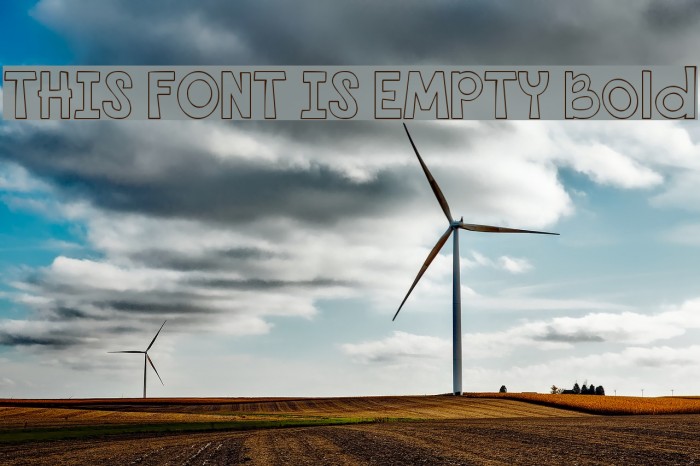 THIS FONT IS EMPTY Bold Font examples
