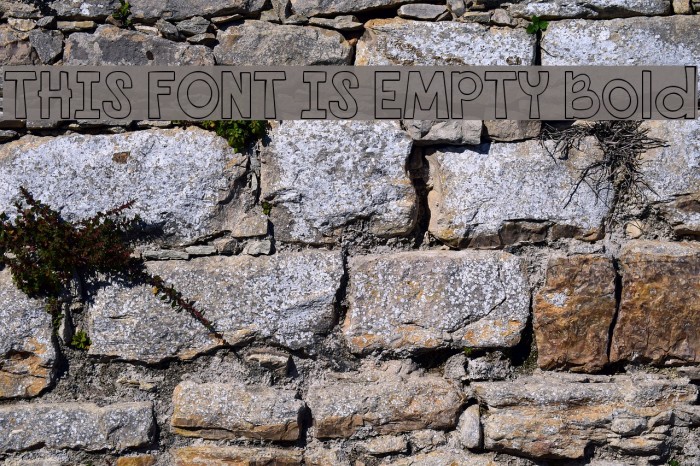 THIS FONT IS EMPTY Bold Font examples