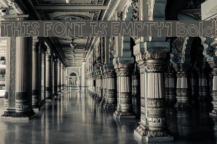 THIS FONT IS EMPTY1 Bold Example 1