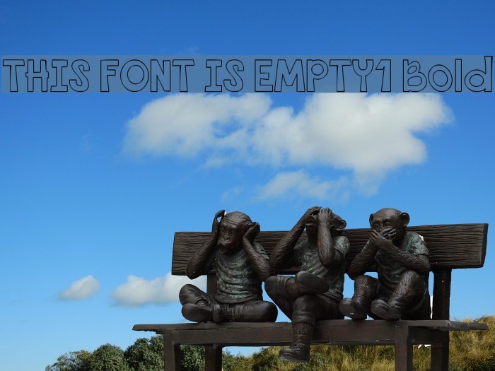 THIS FONT IS EMPTY1 Bold Example 2