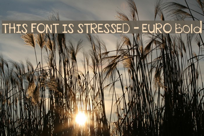 THIS FONT IS STRESSED - EURO Bold Font examples