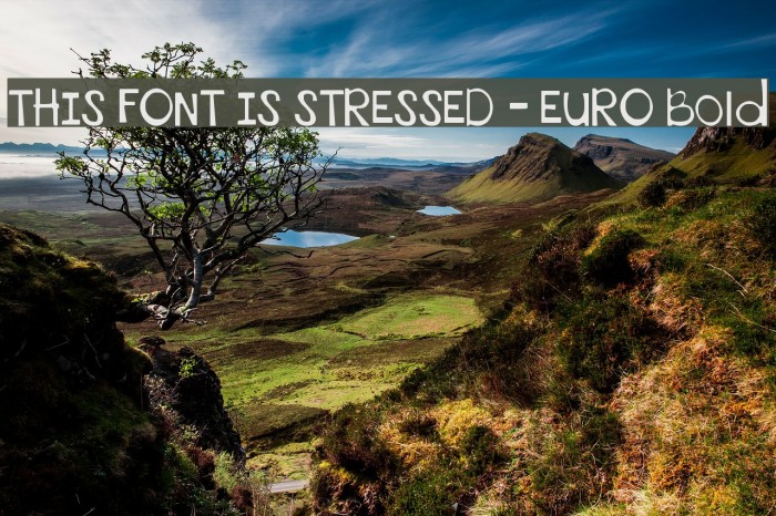 THIS FONT IS STRESSED - EURO Bold Font examples