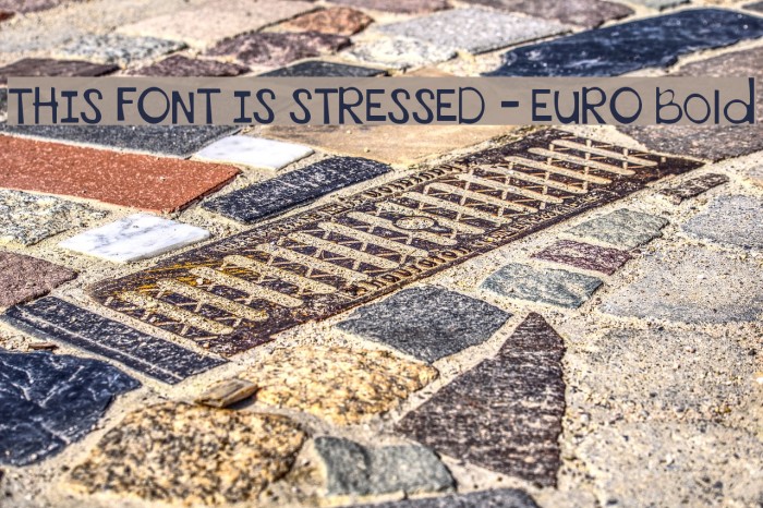 THIS FONT IS STRESSED - EURO Bold Font examples