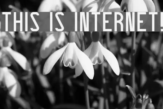THIS IS INTERNET! Font examples