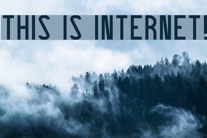 THIS IS INTERNET! Font examples