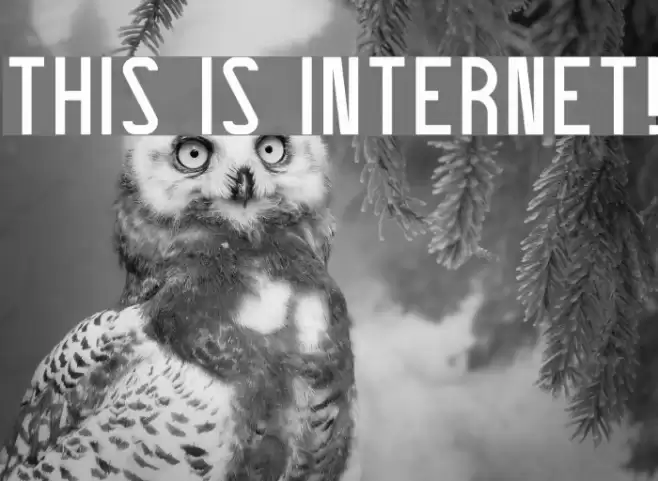 THIS IS INTERNET! Font examples