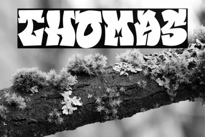 THOMAS Font examples