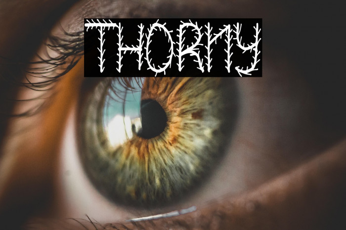 THORNY Example 2