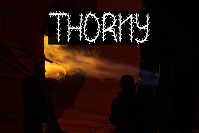 THORNY Example 3