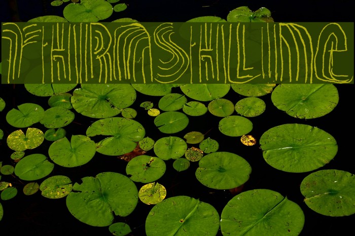 THRASHLINE Шрифта examples