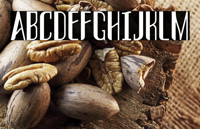 THREVA Demo Bold Example 1