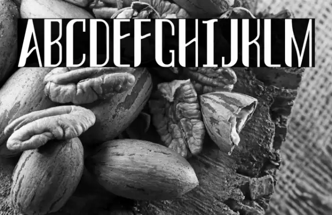 THREVA Demo Bold Schriftart examples