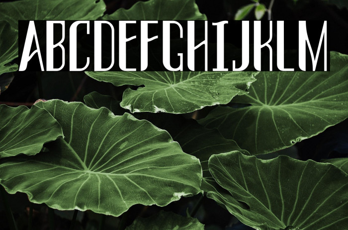 THREVA Demo Bold Example 2