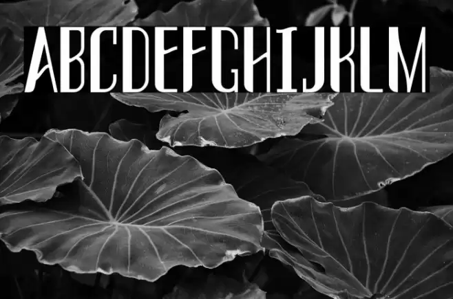 THREVA Demo Bold Schriftart examples