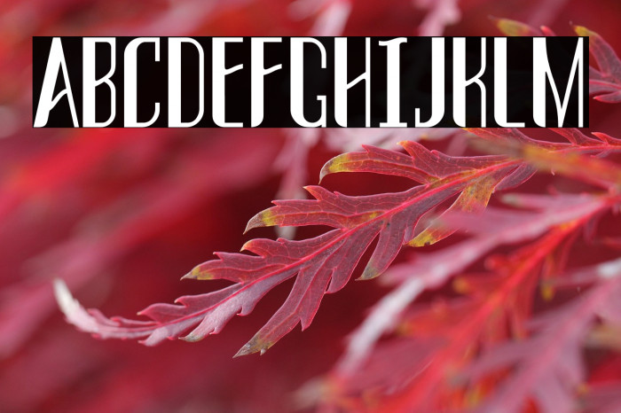 THREVA Demo Bold Example 3