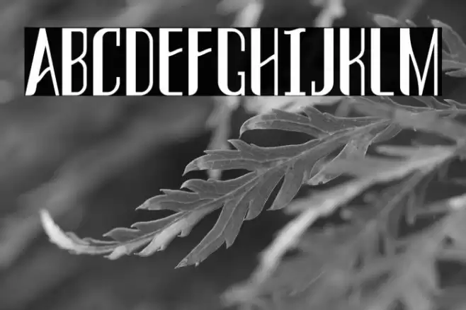 THREVA Demo Bold Schriftart examples