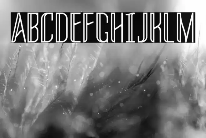 THREVA Demo フォント examples