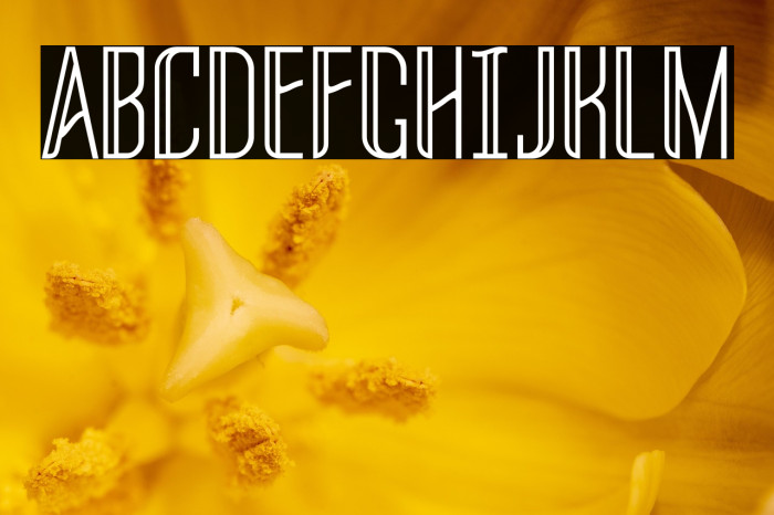 THREVA Demo Example 3