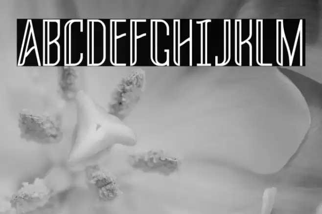 THREVA Demo フォント examples