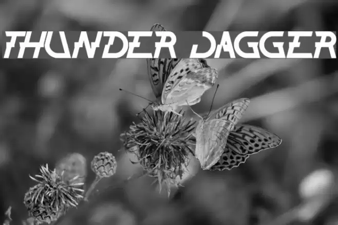 THUNDER JAGGER Font examples
