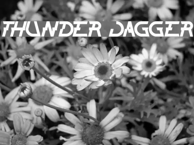 THUNDER JAGGER Font examples