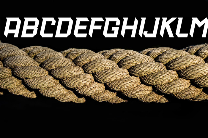 THUNDERBOSS - Personal Use Italic Example 1