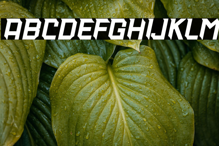 THUNDERBOSS - Personal Use Italic Example 3