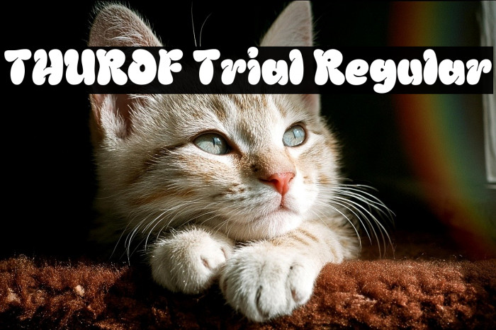 THUROF Trial Regular Example 1