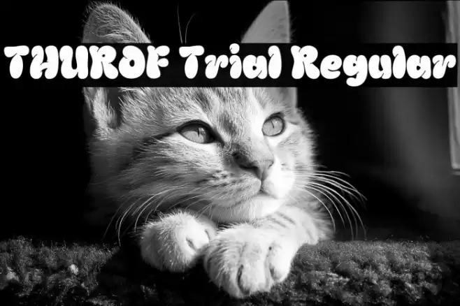 THUROF Trial Regular Font examples