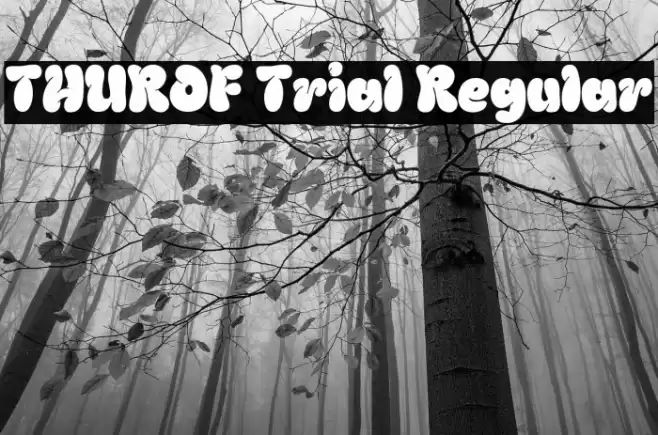 THUROF Trial Regular Font examples